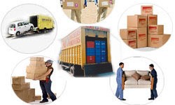 local packers and movers